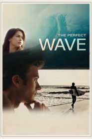 The Perfect Wave