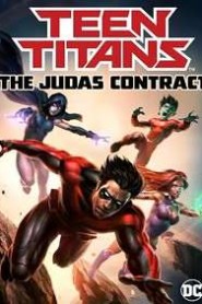 Teen Titans: El contrato de Judas