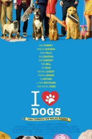I Love Dogs (Dog Days)
