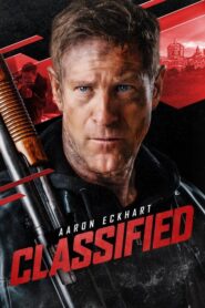 Classified (Red clasificada)